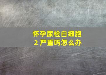 怀孕尿检白细胞2 严重吗怎么办